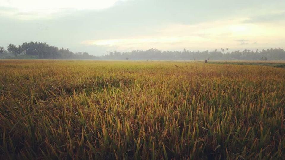 Seri Pengkalan Homestay Bachok Luaran gambar