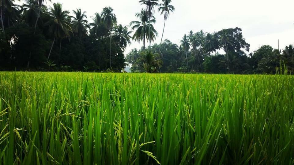 Seri Pengkalan Homestay Bachok Luaran gambar